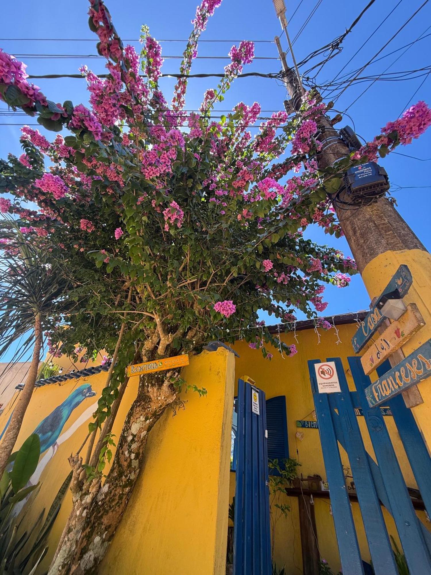 Casa Dos Franceses Guesthouse Ilha Grande Экстерьер фото